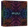 Amygdala All-In Exclusive Edition (international)