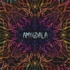 Amygdala Standard-Edition (international)