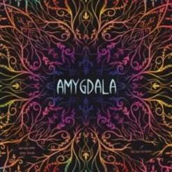 Amygdala Standard-Edition (international)