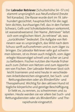 Das große Hunde Quiz