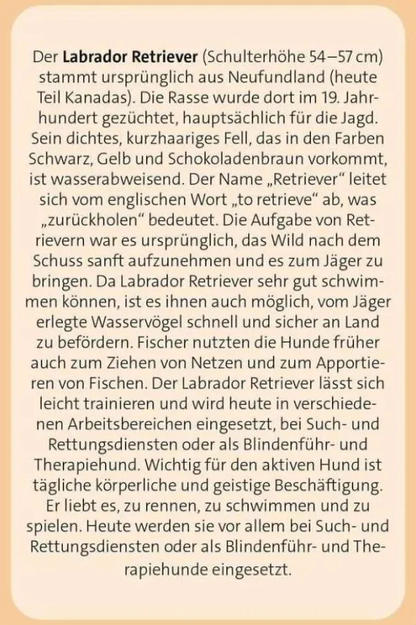 Das große Hunde Quiz