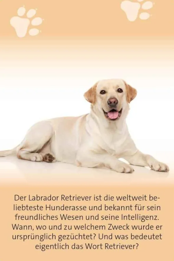 Das große Hunde Quiz