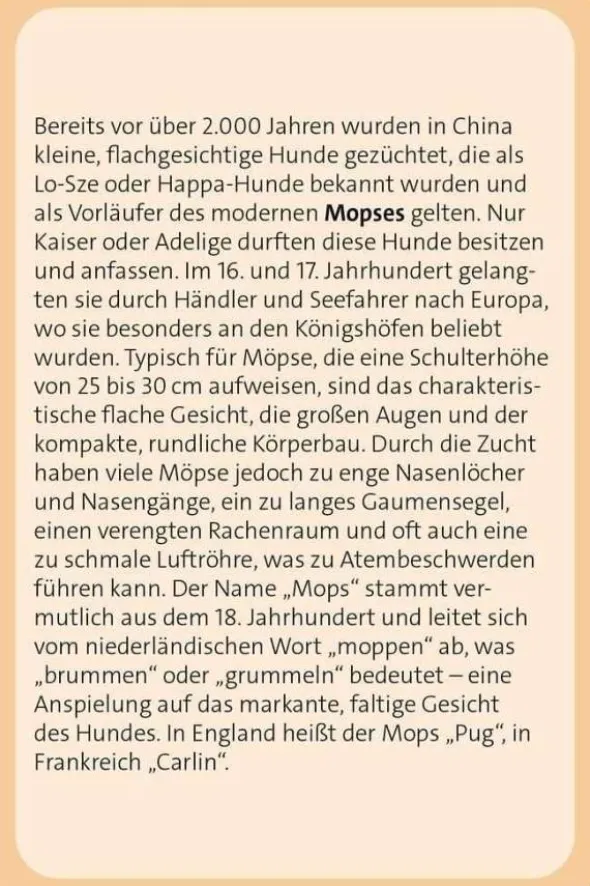Das große Hunde Quiz