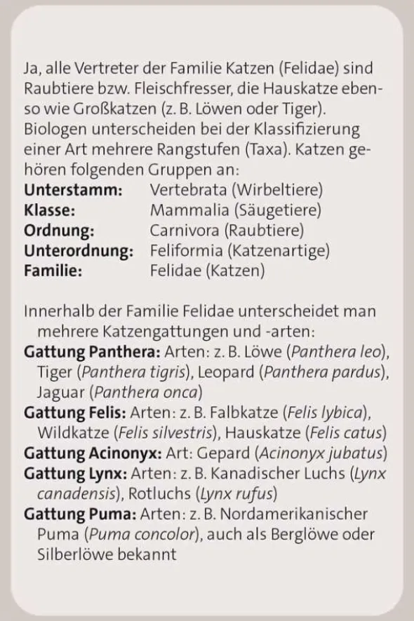 Das große Katzen Quiz