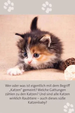 Das große Katzen Quiz