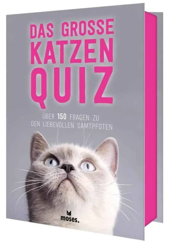 Das große Katzen Quiz