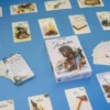 Fate Flip - Verschollen