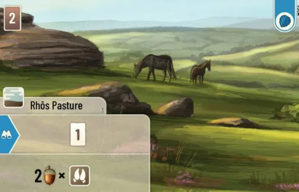 Forest Shuffle - Dartmoor (engl.)