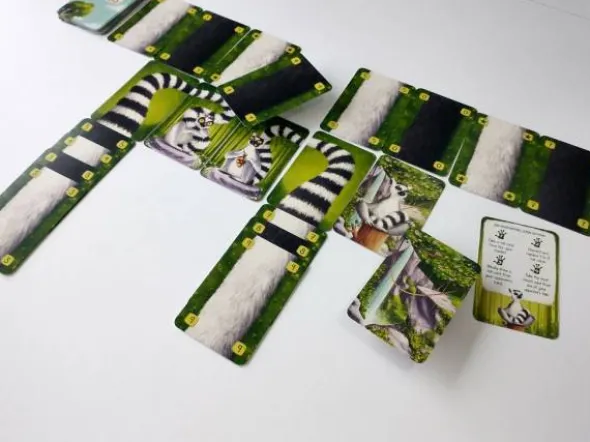 Lemur Tails (engl.)