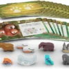 Life of the Amazonia Mini Expansion (Exp.) (engl.)