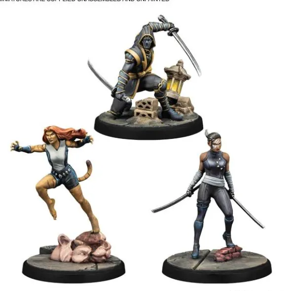 Marvel: Crisis Protocol - Echo, Ronin & Tigra (exp.) (engl.)