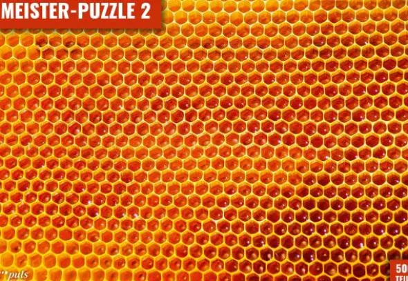 Meister-Puzzle 2