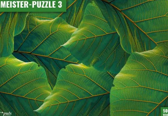 Meister-Puzzle 3