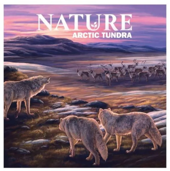 Nature: Tundra Module (Exp.) (engl.)