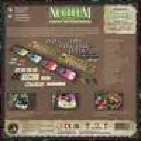 Nucleum: Court of Progress (Exp.) (engl.)