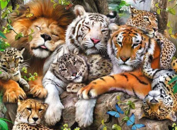 Puzzle: Schmusende Raubkatzen (200 XXL Teile)