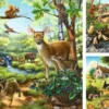 Puzzle: Wald-/Zoo-/Haustiere (3x49 Teile)