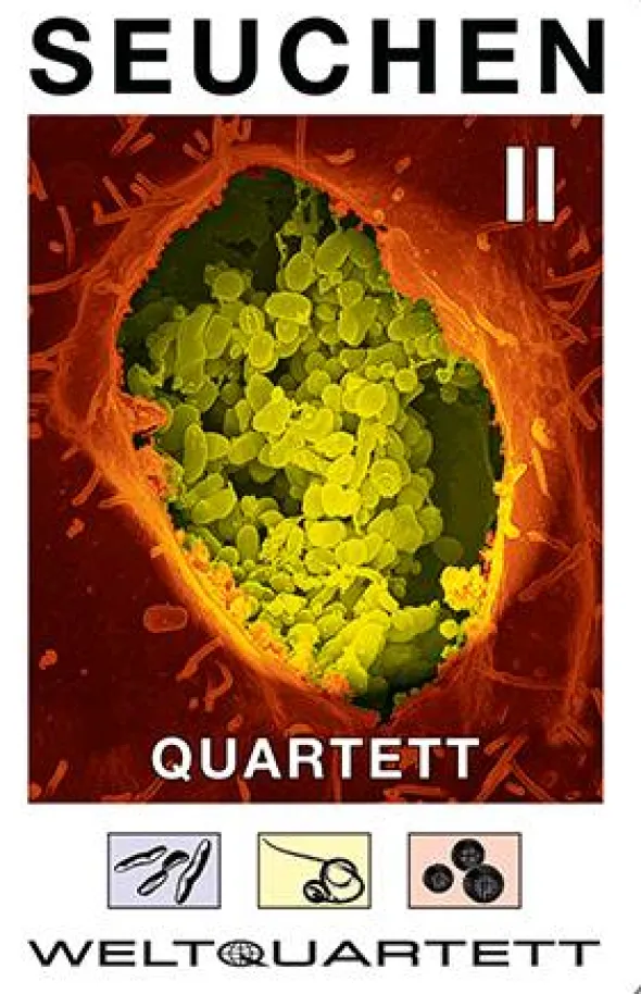 Seuchen-Quartett 2