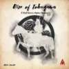 Small Samurai Empires Rise of Togukawa (engl.)