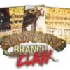 Spirit Island Branch & Claw Foil Panels (Erw.)