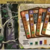 Spirit Island: Wachende Augen in Bäumen (Mini-Erw.)