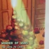 SSO: Wonder of Wubs (Exp.) (engl.)